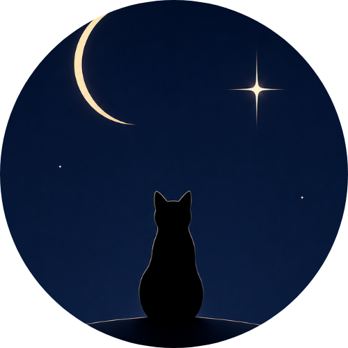 星空案内室